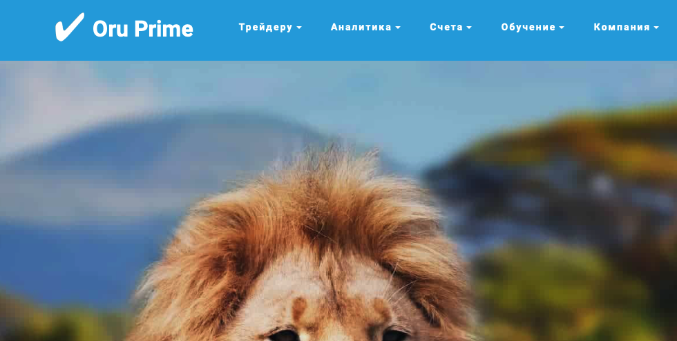 Oru Prime - брокер мошенник!!